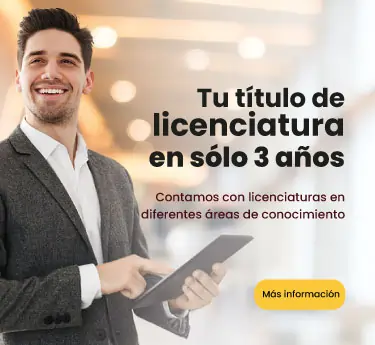 Licenciaturas en línea