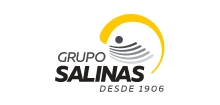 Grupo Salinas