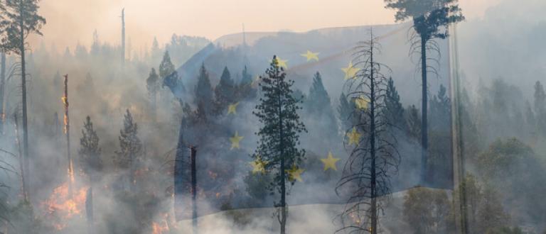 Incendios forestales en Europa: 2025