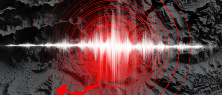 Primer Simulacro 2026