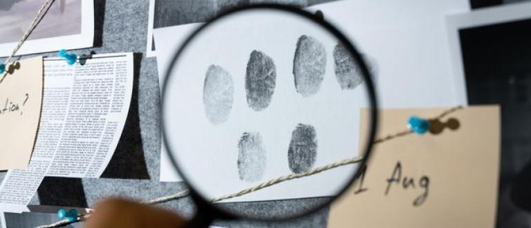 Maestría en Criminología de UDAVINCI
