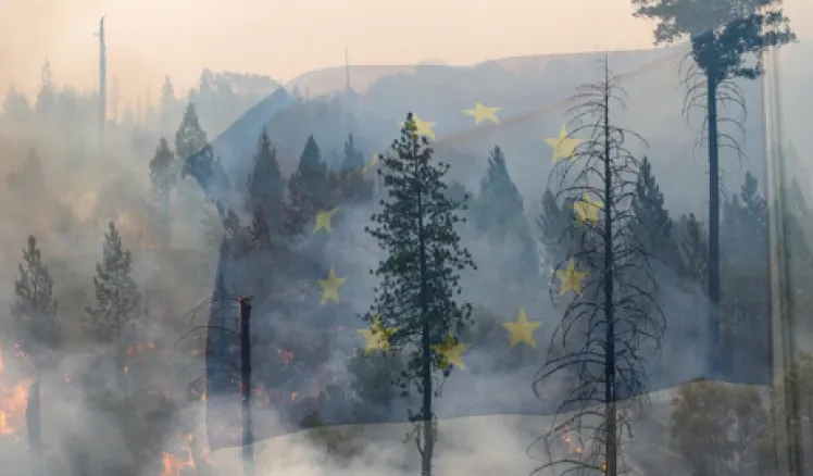 Incendios forestales en Europa: 2025