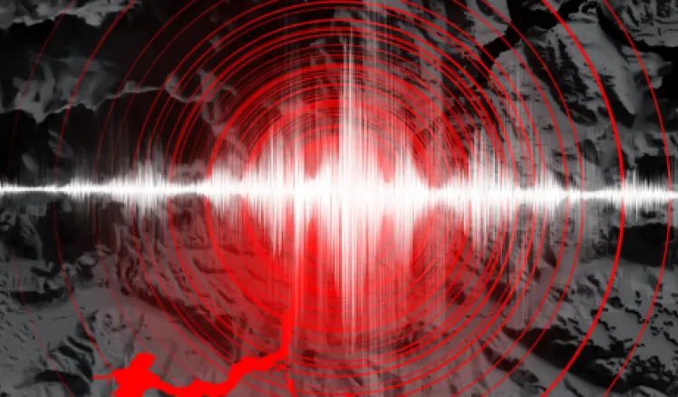 Primer Simulacro 2026